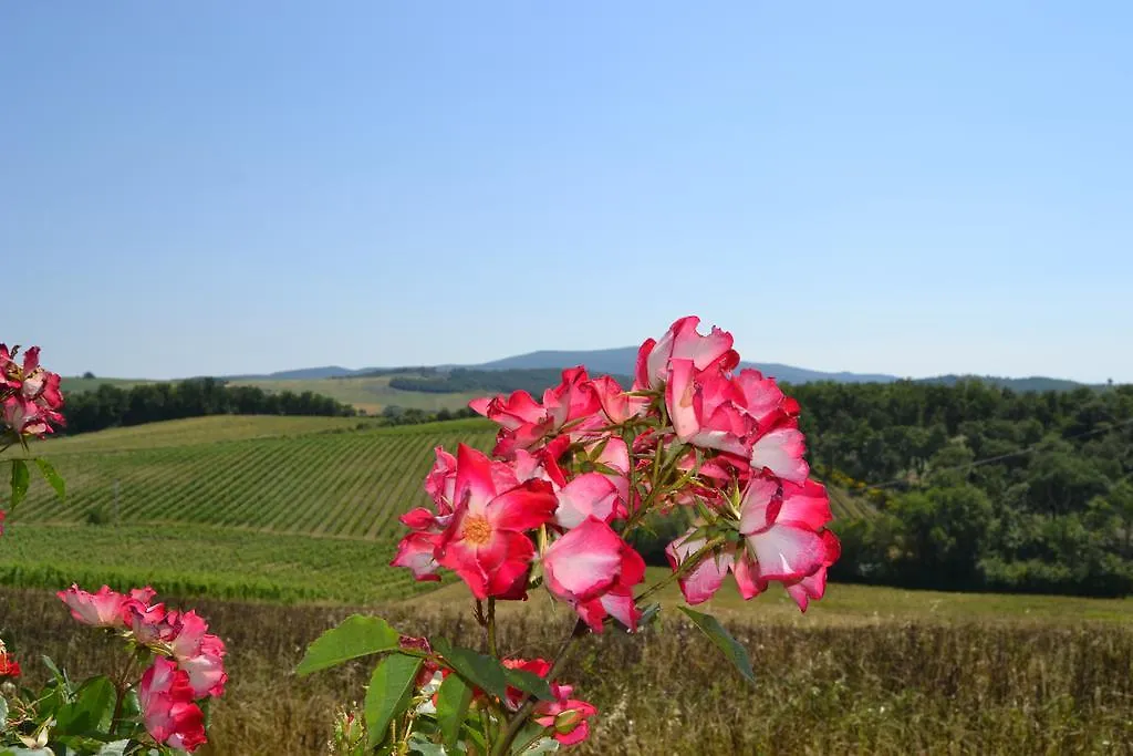 Bauernhof Agriturismo Cignanbianco Castellina in Chianti